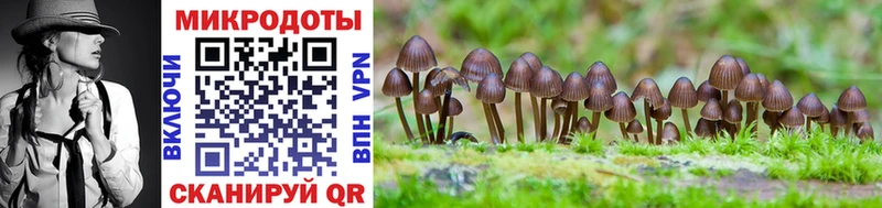 где купить наркоту  Славянск-на-Кубани  Псилоцибиновые грибы MAGIC MUSHROOMS 